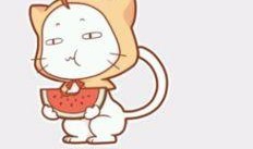 兔子吃瓜鄙视表情包,笑谈人间百态