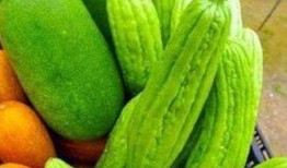 带你吃瓜蔬菜图片