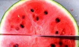 吃瓜披萨,一场美食与娱乐的跨界盛宴