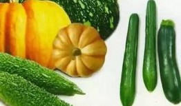 吃瓜小品完整版,揭秘娱乐圈幕后故事