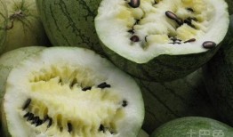 吃炒籽瓜的危害,健康饮食需谨慎