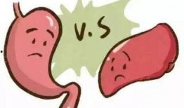 只有吃瓜才不孕吐