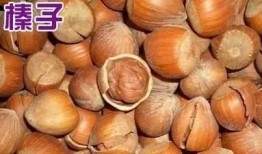 榛子吃瓜,一场味蕾的盛宴