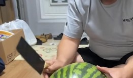 吃野瓜博主,跟随吃野瓜博主解锁自然食趣之旅