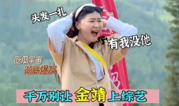 参加综艺吃瓜系统,明星幕后故事全解析