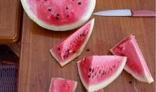 能煮着吃的瓜,能煮着吃的瓜类美食探索