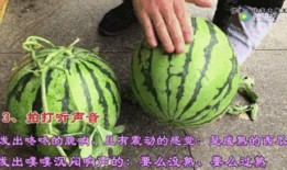 比克吃瓜视频,揭秘娱乐圈幕后故事