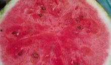 内蒙医院吃瓜,揭秘背后的真相与反思