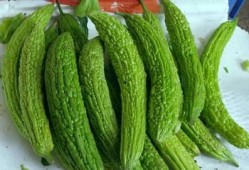 吃凉瓜的文,凉瓜美食探秘