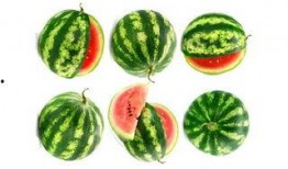 莱阳市吃瓜,品味夏日田园风情