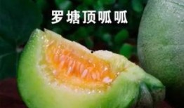 徐州丰县吃瓜