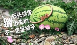 吃石头瓜好吗,健康饮食新话题