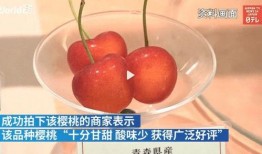 扒皮吃的蜜瓜,尽享甜蜜滋味