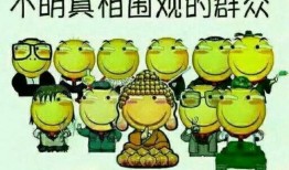 吃瓜群众零零甲,揭秘娱乐圈幕后故事
