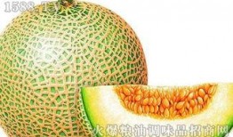 晚上可以吃哈密瓜减肥吗,助你轻松减肥的秘密武器