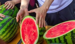 丽水学校吃瓜事件,校园风波背后的真相与反思