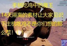 吃鸡呆瓜id,吃鸡呆瓜ID背后的欢乐与智慧