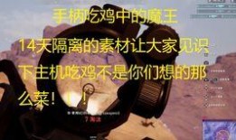 吃鸡呆瓜id,吃鸡呆瓜ID背后的欢乐与智慧