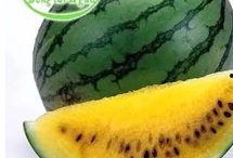 请客户吃瓜,共赴美食盛宴——客户答谢宴